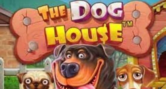 Sloturi Pragmatic Play - The Dog House
