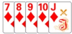 poker netbet