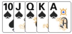 poker netbet