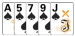 poker netbet