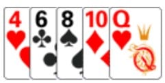 poker netbet
