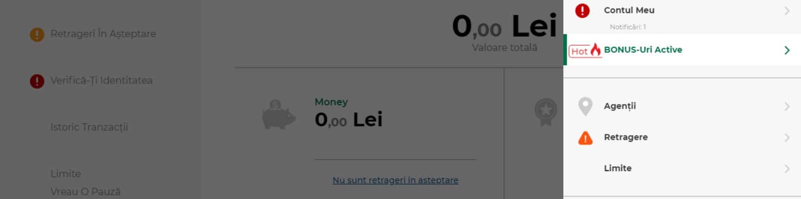 verificare cont winner contul