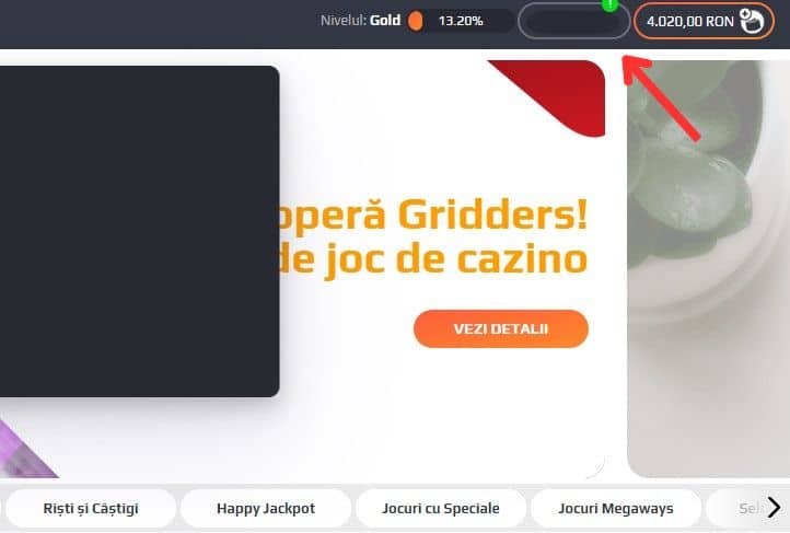 retragere netbet