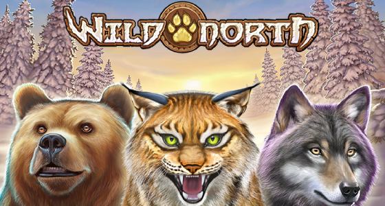 Jocuri Play N GO Gratis - Wild North