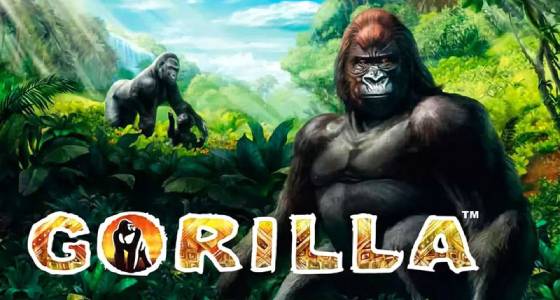 Jocuri Novomatic Gratis - Gorilla