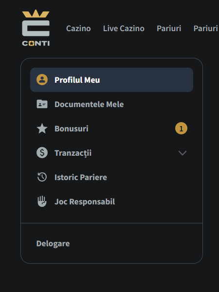 meniu contul meu conti