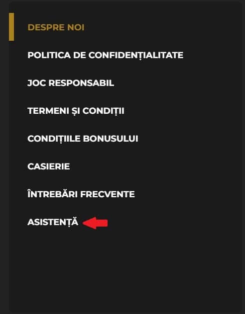 princess casino meniu despre noi