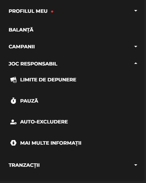princess casino meniu joc responsabil