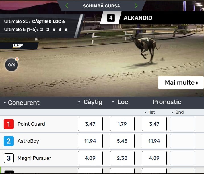 excelbet pariuri virtuale