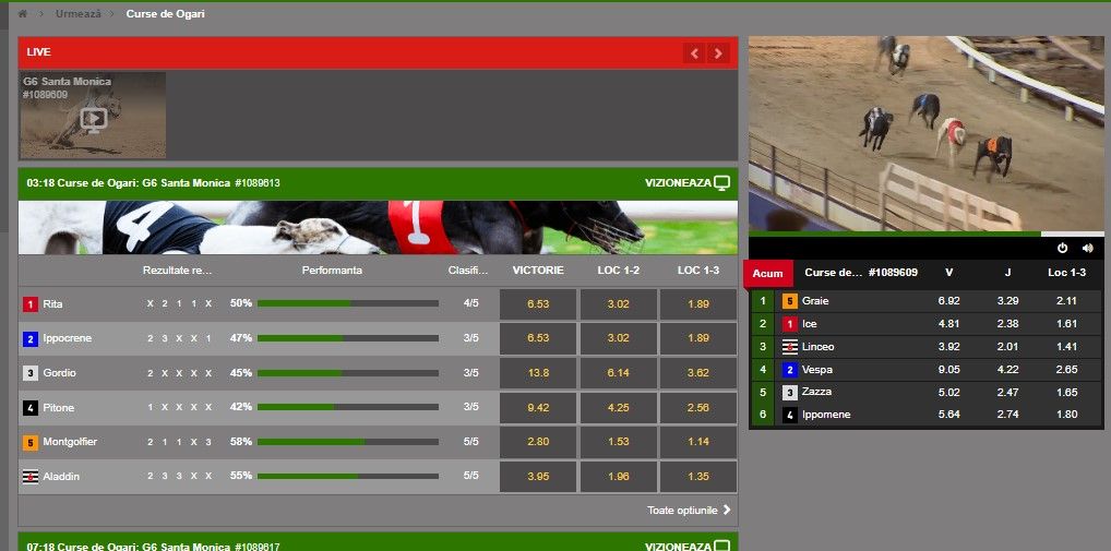 excelbet pariuri virtuale