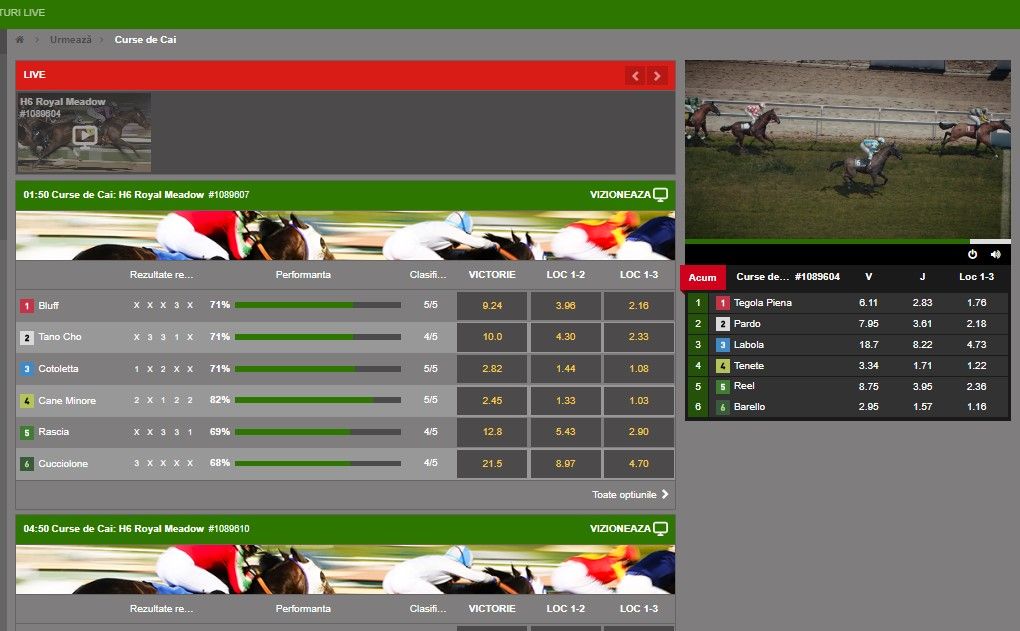 excelbet pariuri virtuale