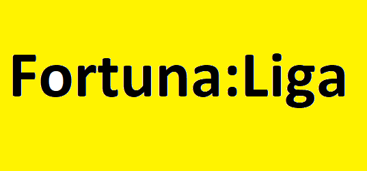 fortuna  in parteneriat federatia romana