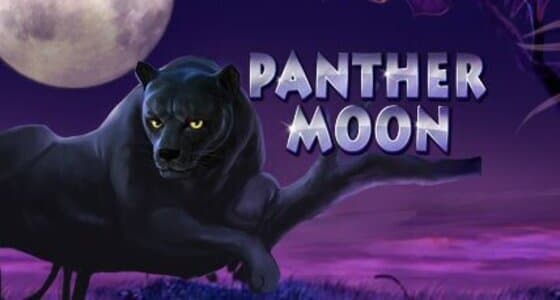 Sloturi Noi - Panther Moon