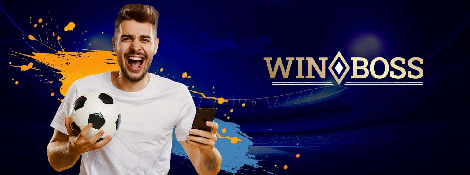 pasi pentru verificare bilet winboss
