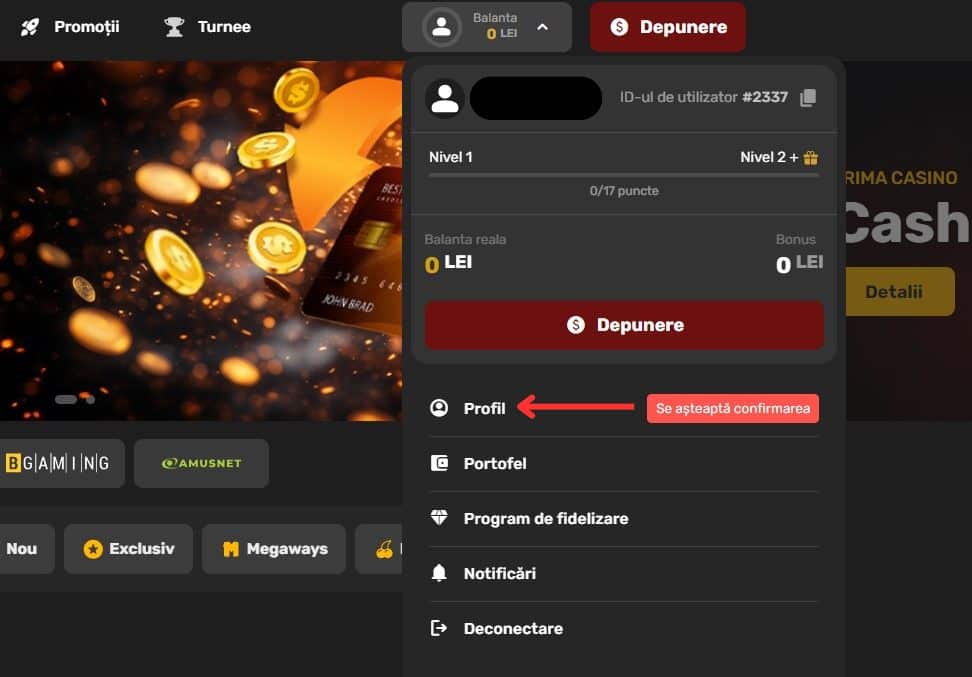 pasi pentru validare cont prima casino